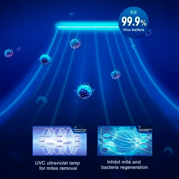 Caja de desinfección portátil UVC y efecto ozono (VQ-XT100)